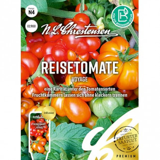 Roșie Voyage imagine 6