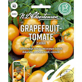 Roșie Zlatava Chrestensen imagine 16