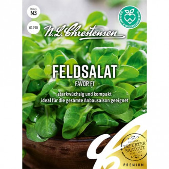Salata roszponka warzywna Favor F1 interface.image 8