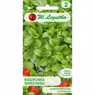 Salata roszponka warzywna Verte de Cambrai interface.image 6