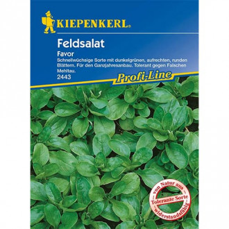 Salata roszponka warzywna Favor interface.image 10