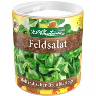 Salata roszponka warzywna interface.image 15