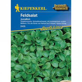 Salata roszponka warzywna Juwallon interface.image 1