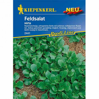 Roszpunka warzywna Mirta Kiepenkerl interface.image 2