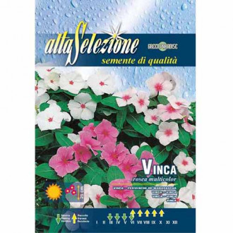 Розова зеленика Madagascar, смес от цветове изображение 1