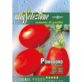 Roșie Rio Grande imagine 16