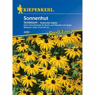Rudbeckia (Bulgări de soare) Goldsturm imagine 11