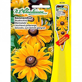 Rudbeckia (Bulgări de soare) Marmalade imagine 7