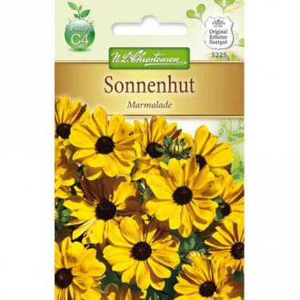 Rudbeckia (Bulgări de soare) Marmalade imagine 6