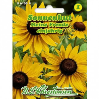 Rudbeckia (Bulgări de soare) My Joy imagine 9