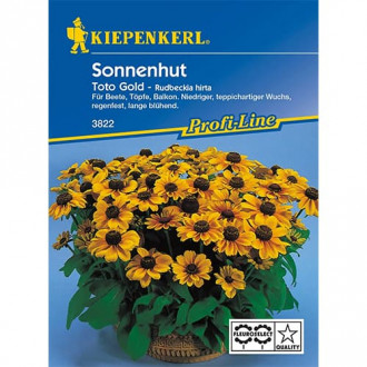 Rudbeckia (Bulgări de soare) Toto imagine 17