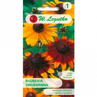 Rudbekia, mix kolorow interface.image 9