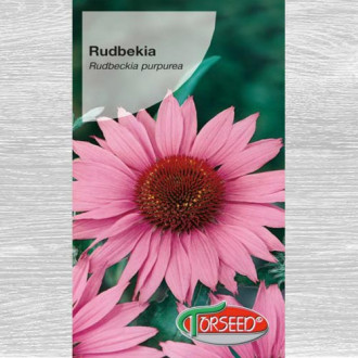 Rudbekia (Jeżówka) purpurowa interface.image 3