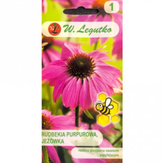 Rudbekia purpurowa (Jeżówka) rozowa interface.image 7