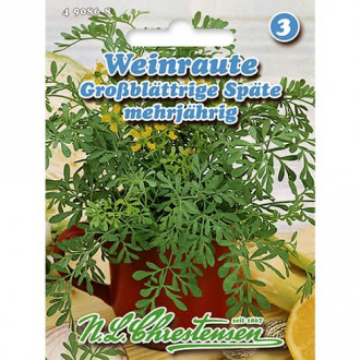 Rută de grădină (Virnanț) imagine 1