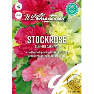 Ружа Summer Carnival изображение 9