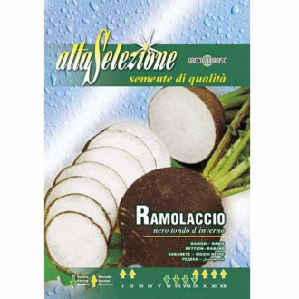 Ряпа Nero Tondo D'Inverno изображение 12