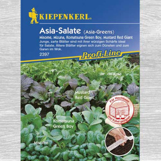 Salată asiatică, amestec imagine 18