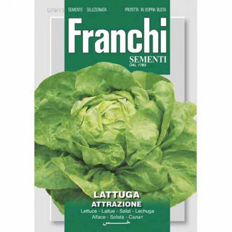 Салата Attrazione изображение 8