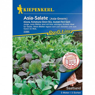 Salata lisciowa nasiona na tasmie Asia-Greens, mix odmian interface.image 11