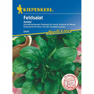 Salată de câmp (Fetică) Amely imagine 8