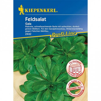 Salată de câmp (fetică) Gala imagine 14