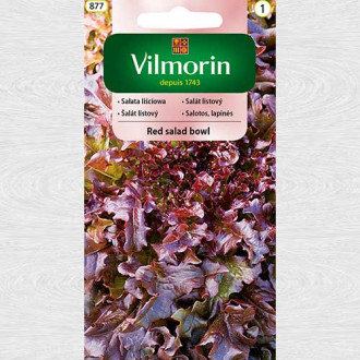 Salată de frunze Red Salad Bowl 2 imagine 6