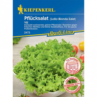 Salată de frunze Vili imagine 17