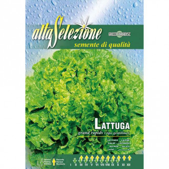 Salată Gentilina imagine 1