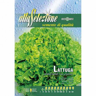 Салата Gentilina изображение 10