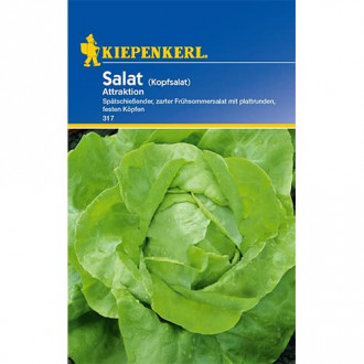Salata glowiasta Attraktion interface.image 11