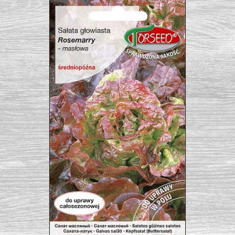 Sałata głowiasta masłowa Rosemarry interface.image 11