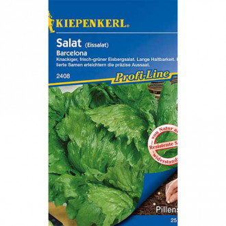 Salată iceberg Barcelona Kiepenkerl imagine 10