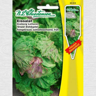 Salată iceberg Grazer Eishäuptel imagine 11