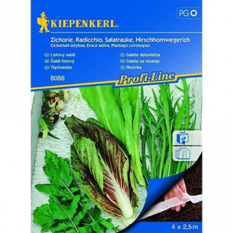 Salată italiană, mix multicolor imagine 13