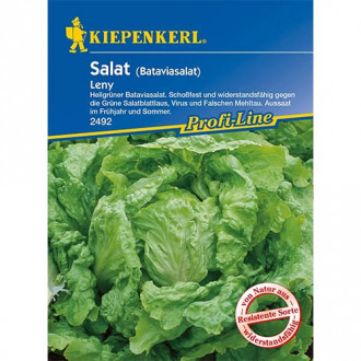 Salată Leny imagine 12