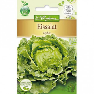 Salata glowiasta Stylist interface.image 9