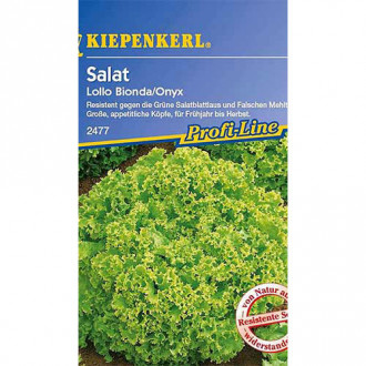 Salată Lollo Bionda Kiepenkerl imagine 6