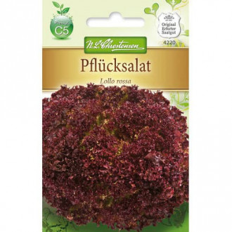 Salată Lollo Rossa imagine 8