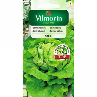 Sałata masłowa Appia Vilmorin interface.image 14