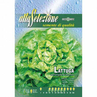 Салата Meraviglia d'Inverno изображение 12