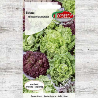 Sałata mieszanka, nasiona na mikrolistki interface.image 12