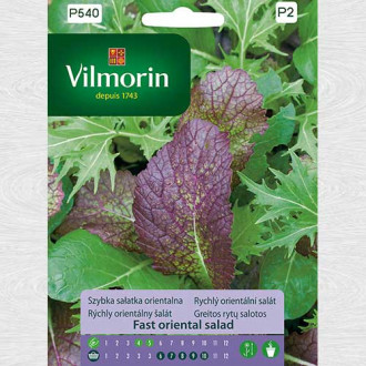 Salată orientală, amestec imagine 2