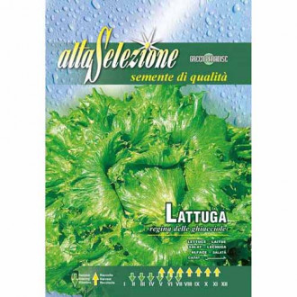 Салата Regina delle ghiacciole изображение 13