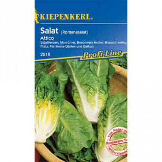 Salată romană Attico Kiepenkerl imagine 11