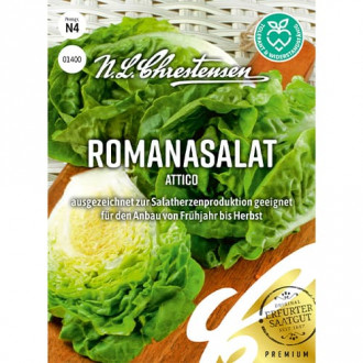 Salată romană Attico imagine 2