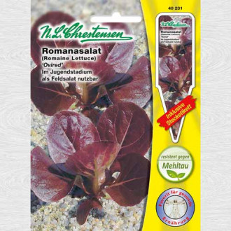 Salată romană Ovired imagine 16