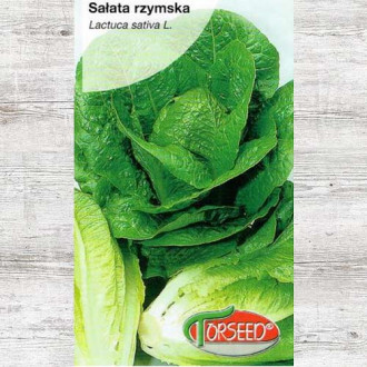 Sałata rzymska Liwia interface.image 8