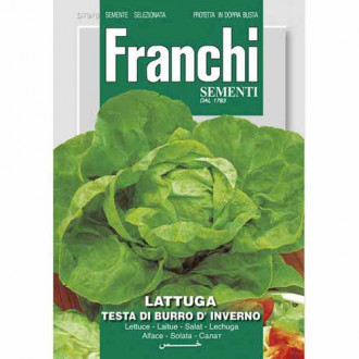 Салата Testa di Burro d'Inverno изображение 14