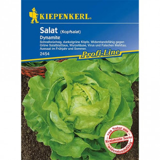 Salată verde Dynamite imagine 2